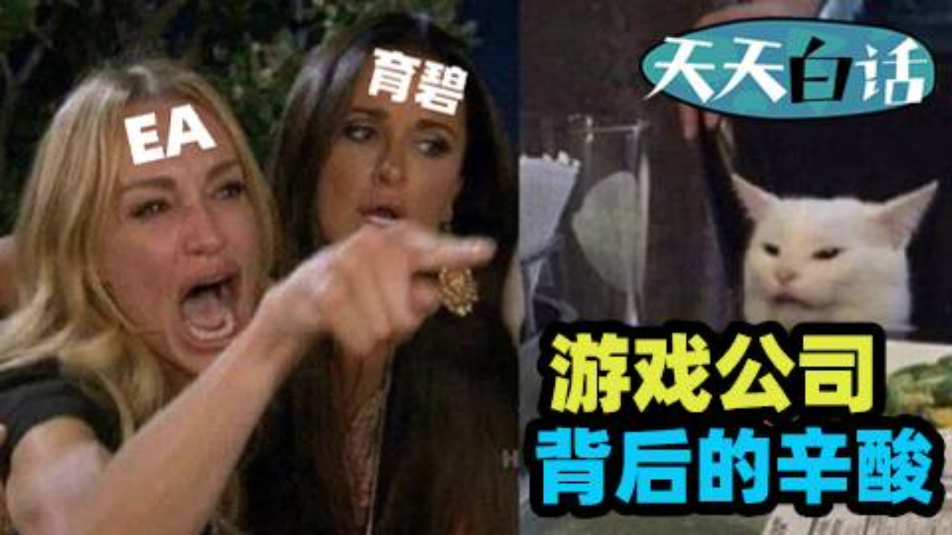 背后的辛酸与磨练:游戏公司所面临的斗争(上)【天天白话】